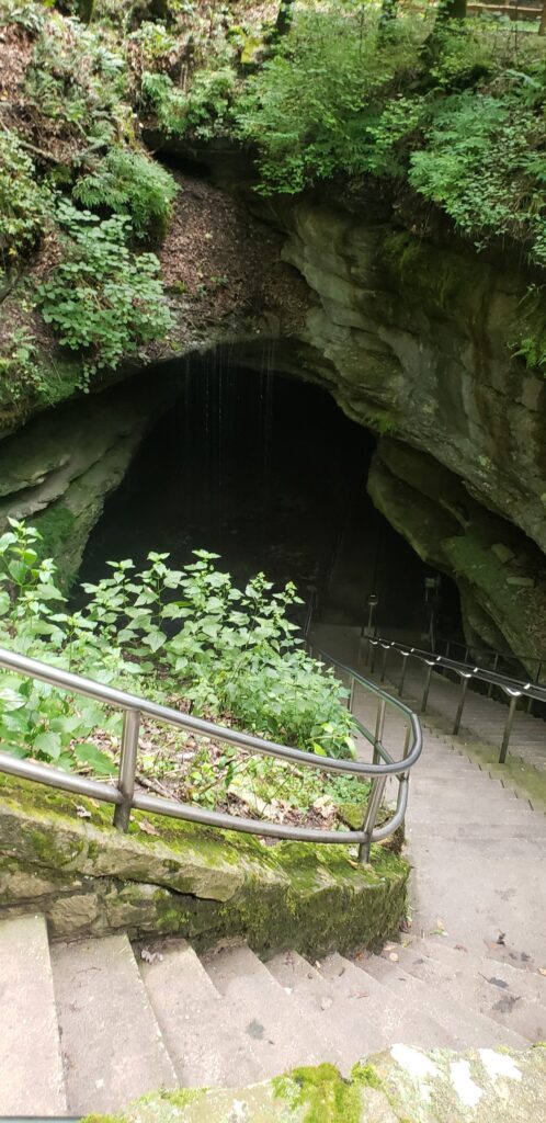 A large staircase leading down into Mammoth Cave