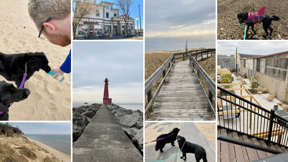 Dog-Friendly Travel in West Michigan: Muskegon, Holland, and Saugatuck