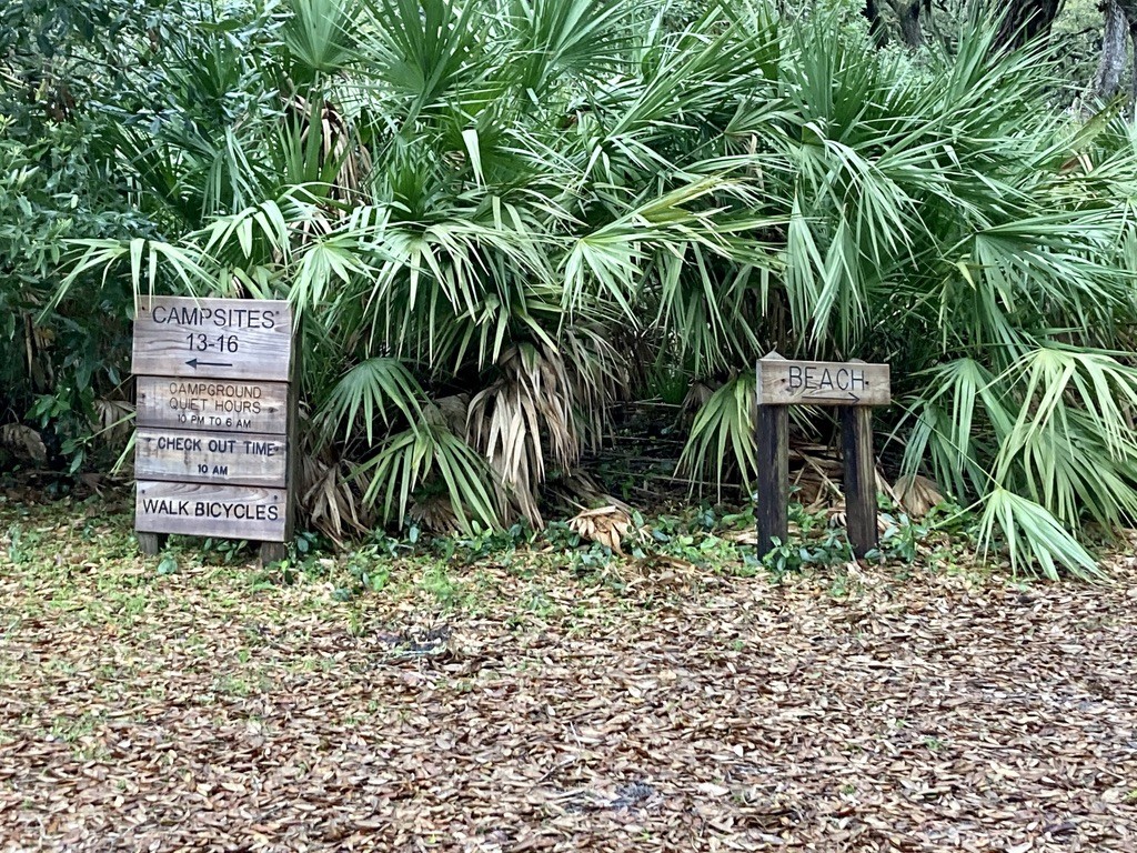 Cumberland Island Trails and Campground