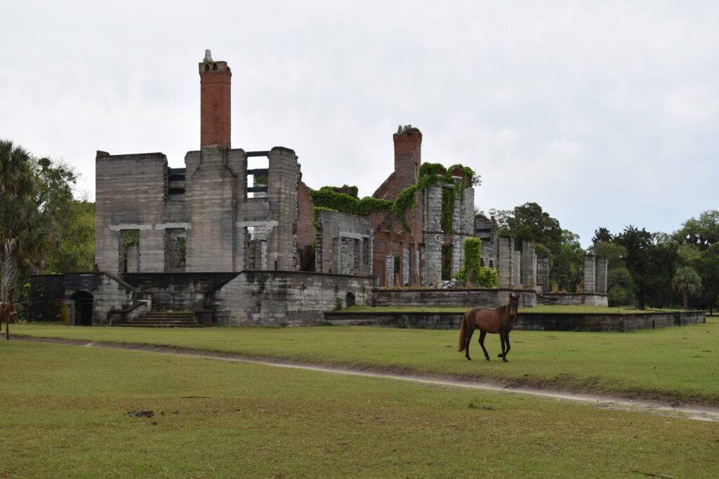 Wild Horse Dungeness Ruins in Cumberland Island