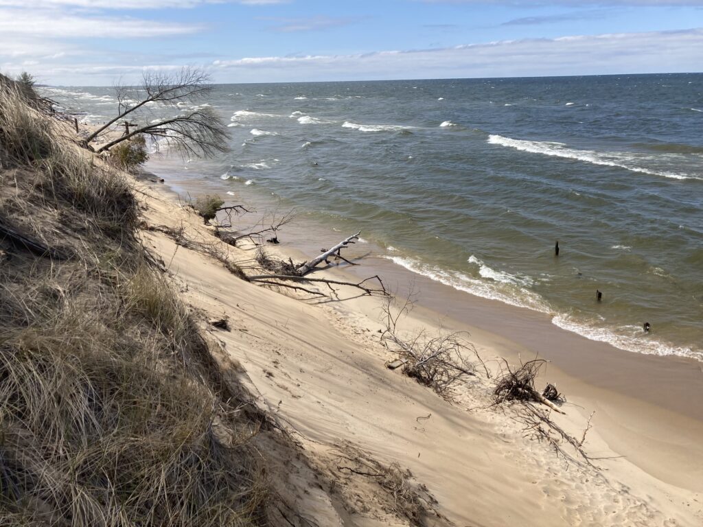 Kirk Park Dog Beach in Holland, Michigan