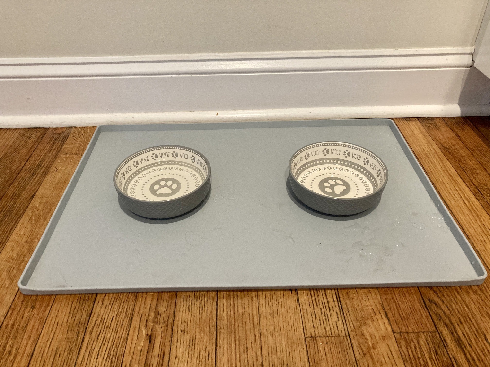 DogFriendly West Michigan Muskegon, Holland, and Saugatuck Well and