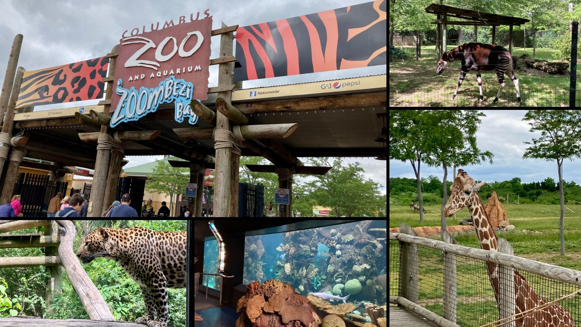 columbus zoo field trip