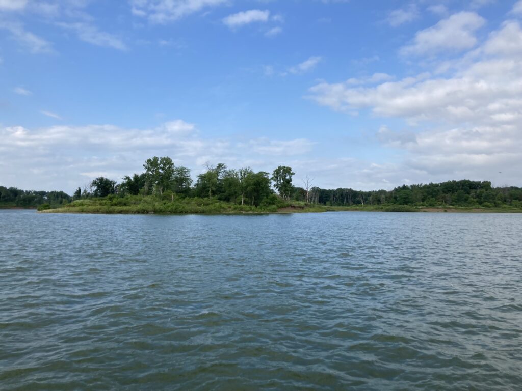 Beautiful blue sky above with blue water from Salamonie Lake below. The water's edge shows green grass and green trees as far as the eye can see.