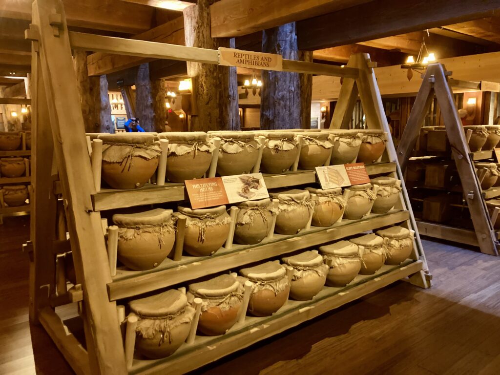 Clay Pots for the Amphibians