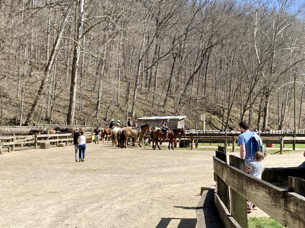 Horses tied to a fence as riders dismantle