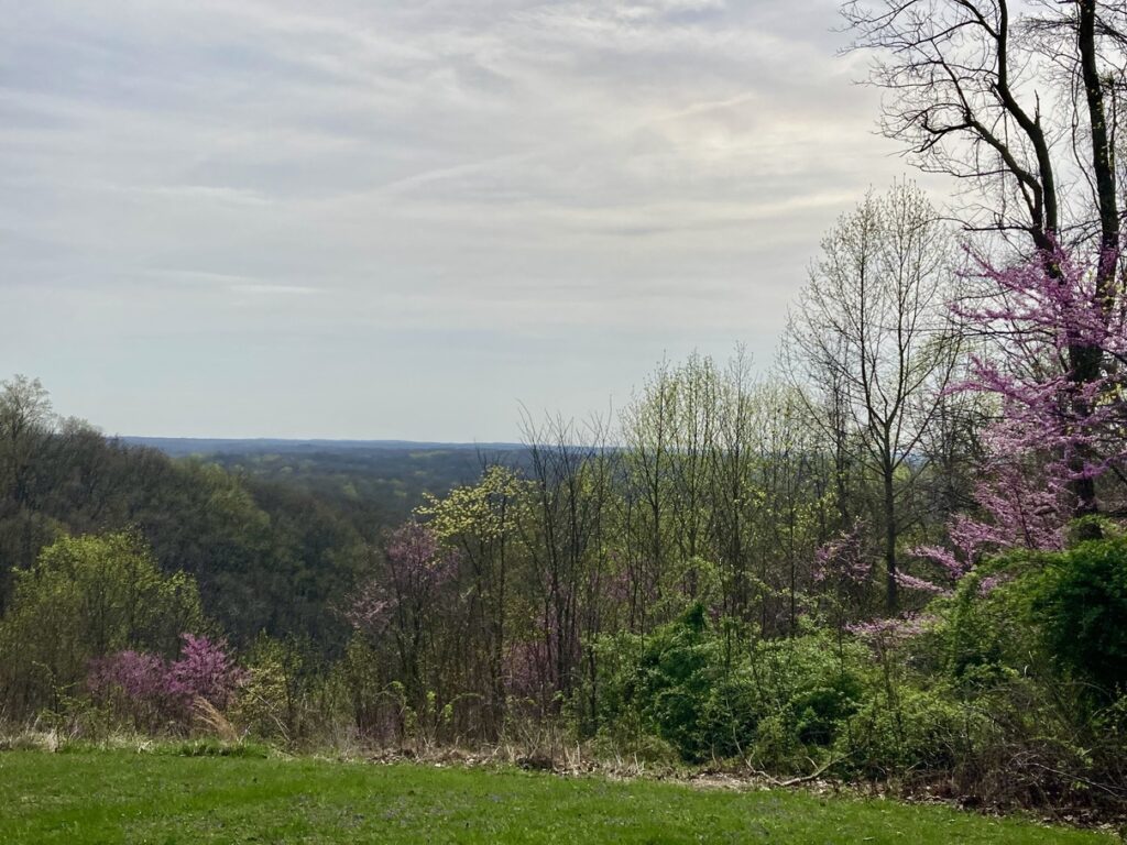 The scenic view at Brown County in the spring