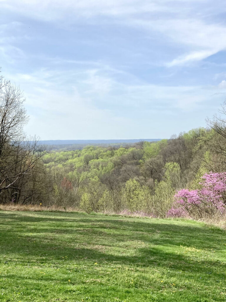 A scenic view from Brown County State Park in the spring