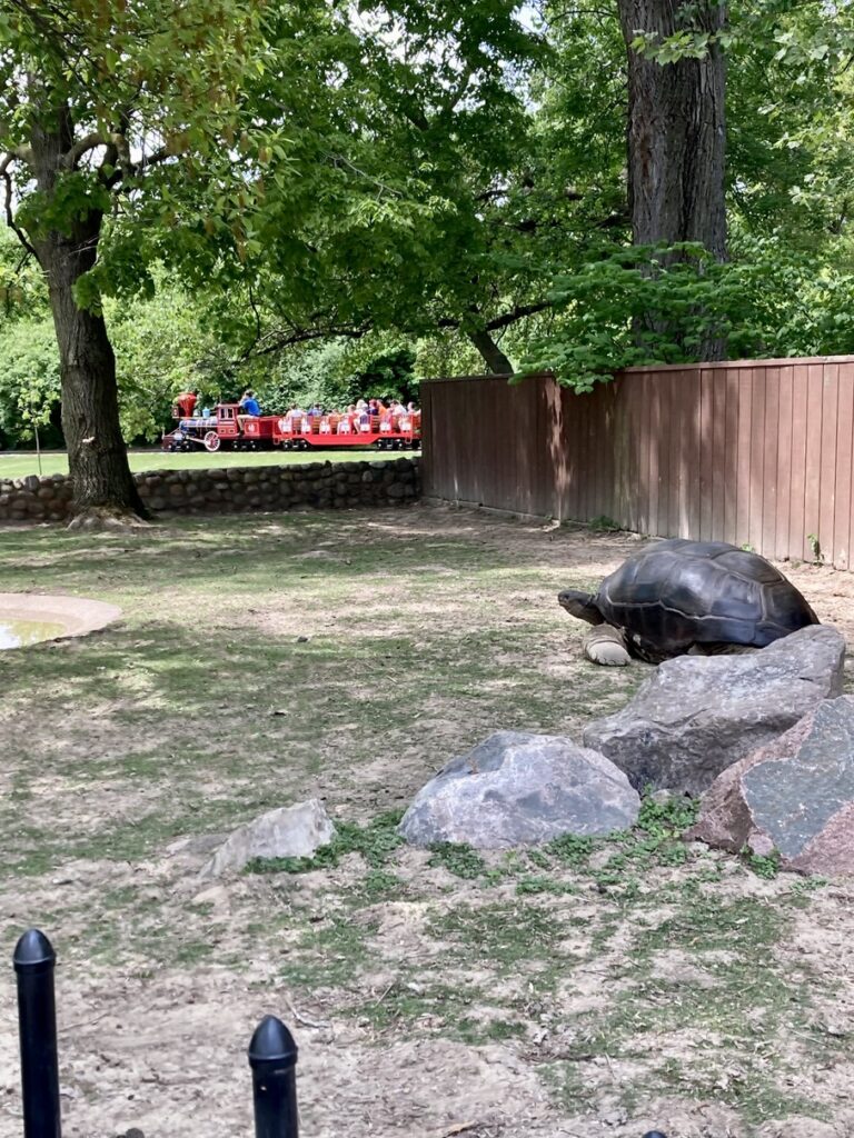 Train Ride at the Fort Wayne Children's Zoo