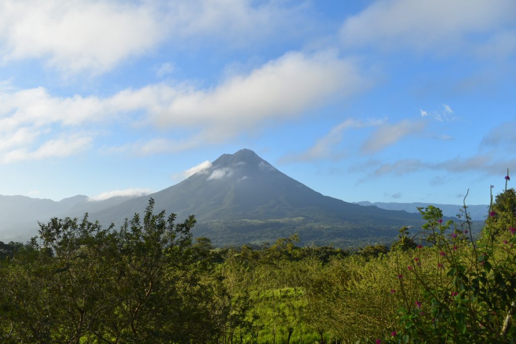Wild flowers and bushes in the foreground with a volcano and blue sky in the background, a view from an Airbnb while visiting Arenal Volcano