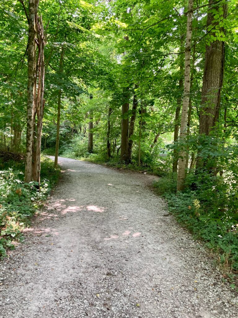 A straight and flat walking trail with trees on both sides.
