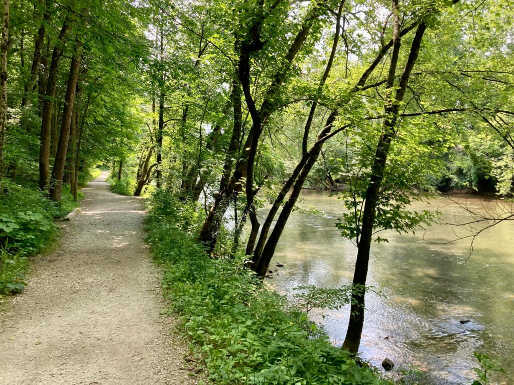 A walking path on the left with water on the right and treesleaning over the water in the middle.