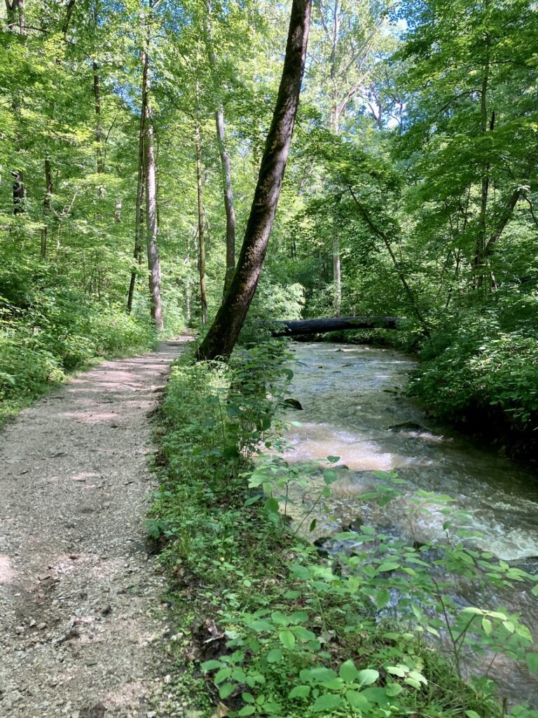 A creek running beside Trail 4 at Spring Mill State Park