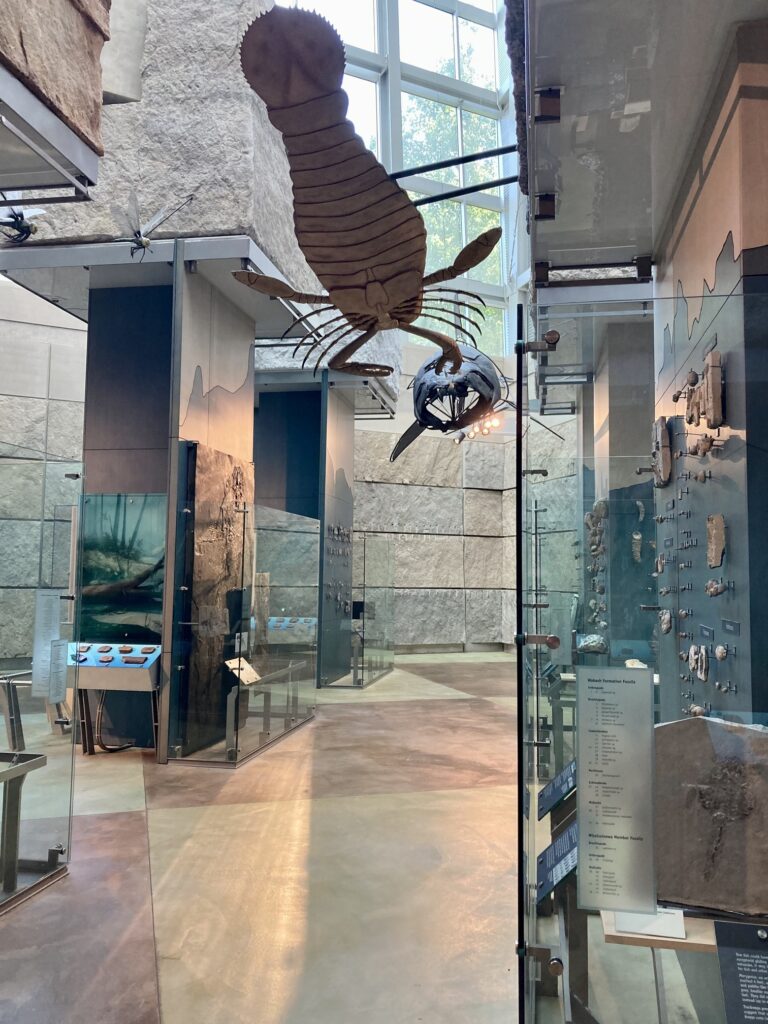 A tall room with fossils behind glass and hanging from the ceiling
