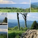 A collage of Skyline Drive Overlooks