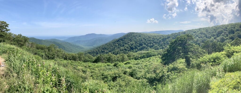 The view from Pinnacles Overlook on Skyline Drive