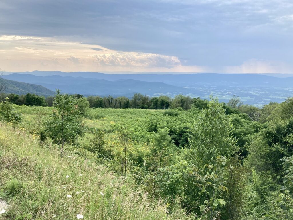 The view from one of the best Skyline Drive overlooks at Shenandoah National Park, Spitler Knoll Overlook