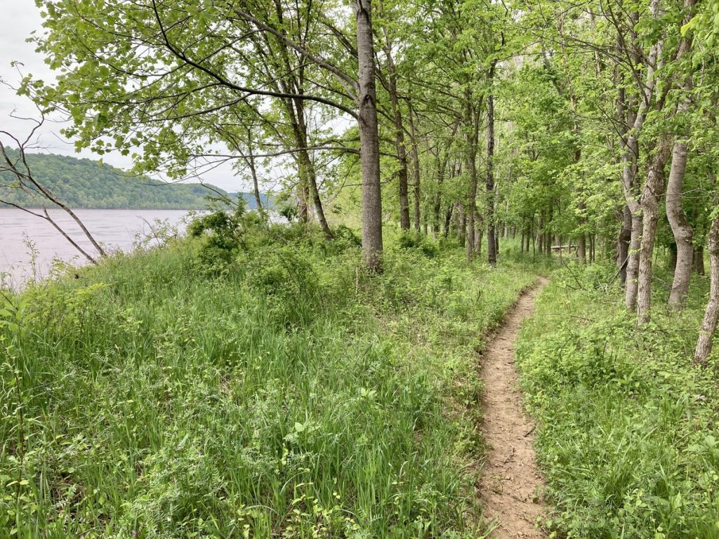 O'Bannon Woods has trails along the Ohio River with scenic views