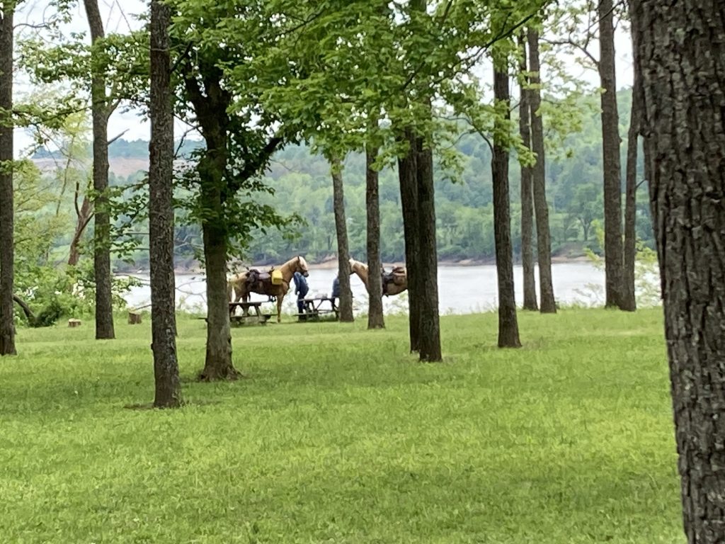 Two horses by the water (Ohio River) at O'Bannon Woods State Park