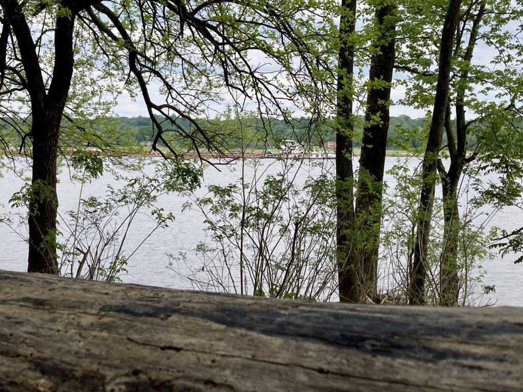 A view of the Ohio River from Rose Island