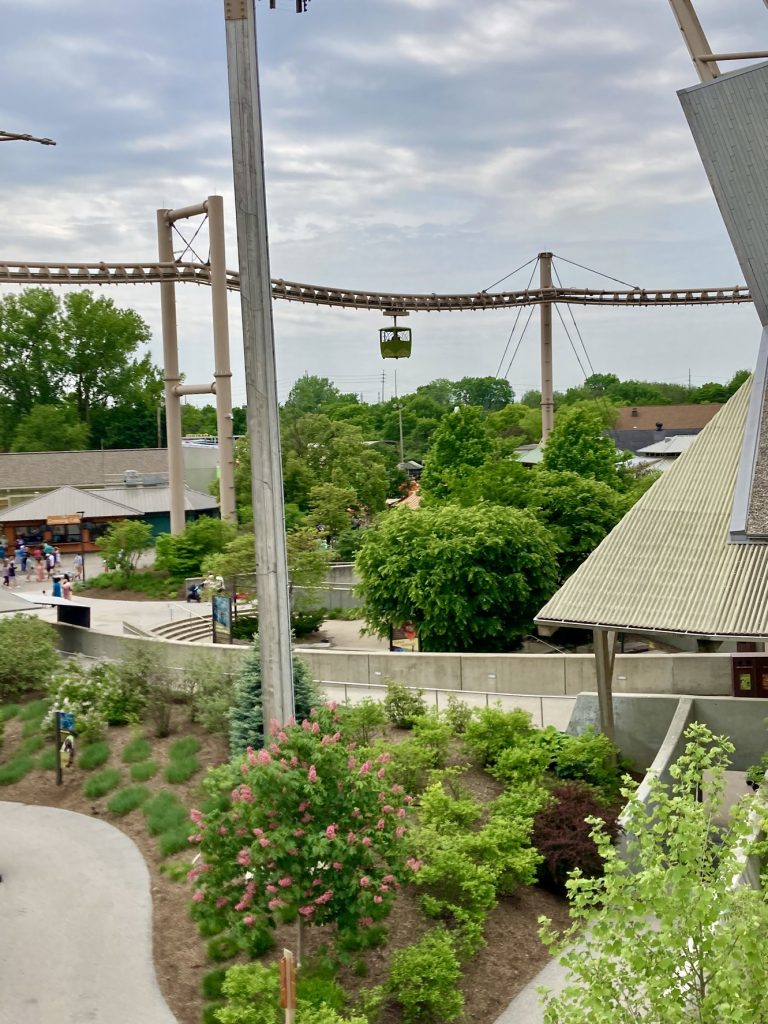 A gondola ride that goes above the Indianapolis Zoo