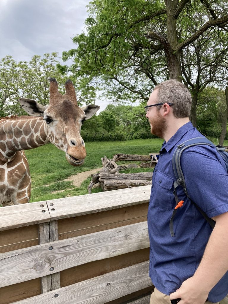 A giraffe waiting for food from a man standing on the other side of a wooden fence