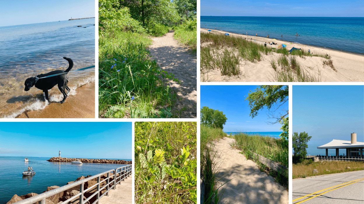 Trails, dogs, and beaches at Indiana Dunes National Park