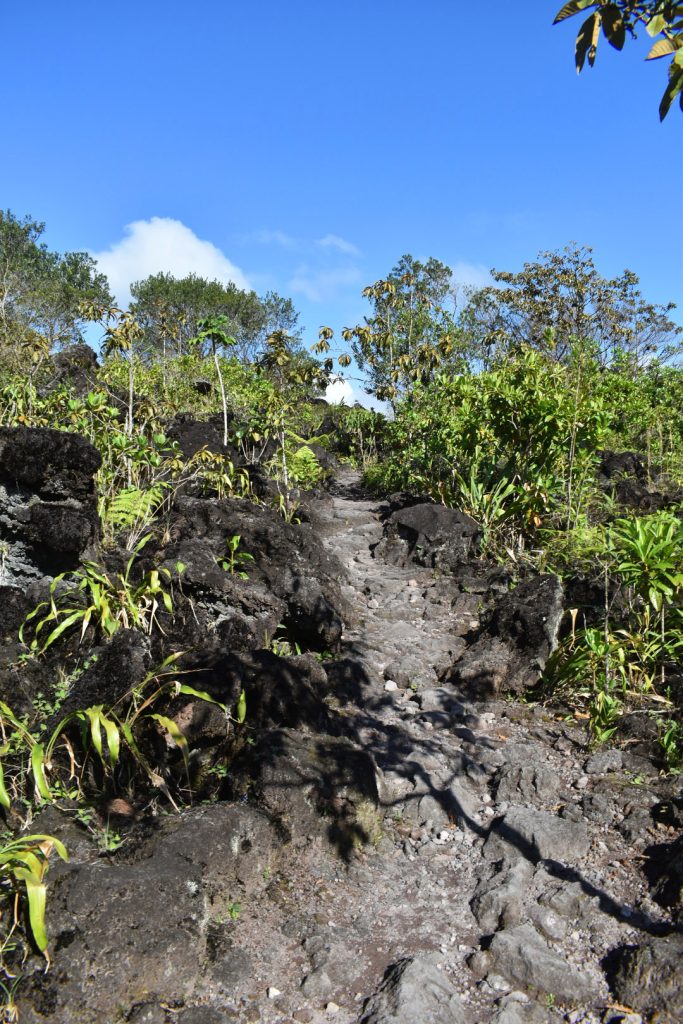 A very steep incline with dark rock below and bright green plants. The view while visiting Arenal Volcano Lava Trail