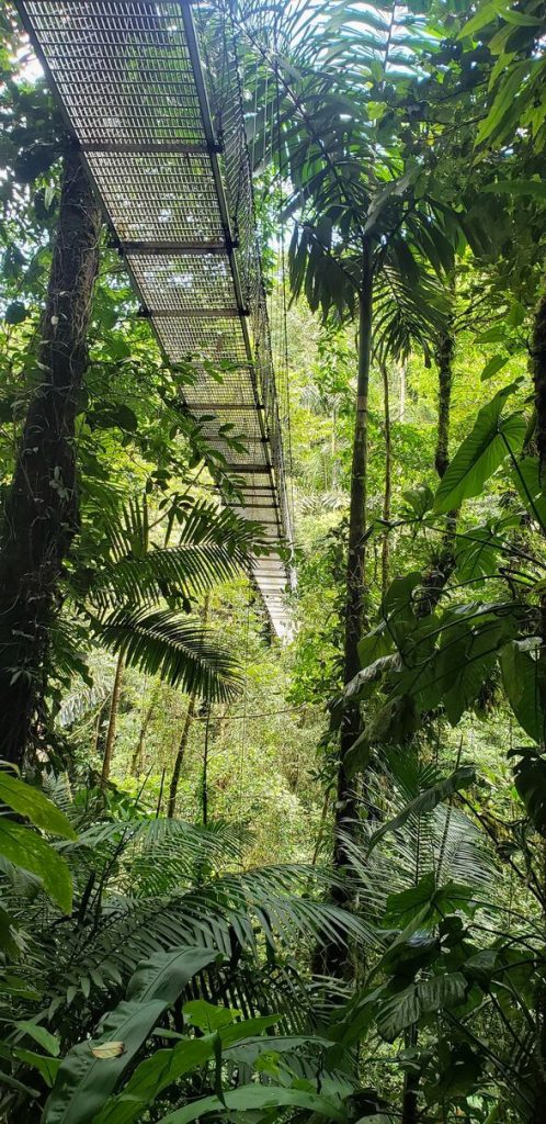 Mistico Hanging Bridges in La Fortuna, Costa Rica, a great activity while visiting Arenal Volcano