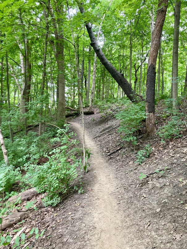 A trail at Fort Harrison State Park in Indianapolis