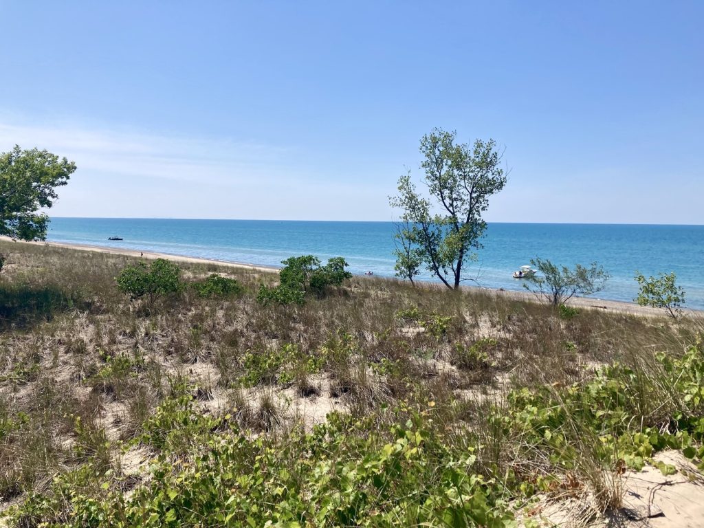Indiana Dunes State Park Scenic View of the water from a trail