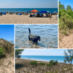 Indiana Dunes State Park beaches, trails, swimming, and more