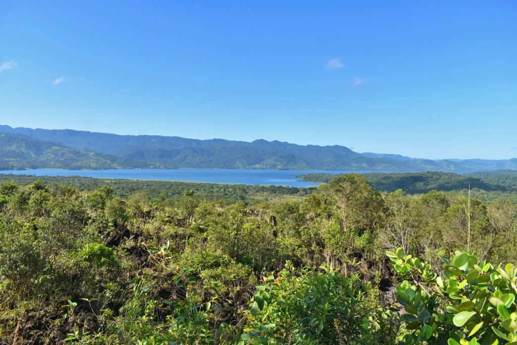 A clear blue lake in the distance with green all around, a great view of Lake Arenal