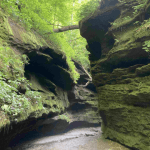 Hiking trail 3 at Turkey Run State Park with steep rock formations surrounding.