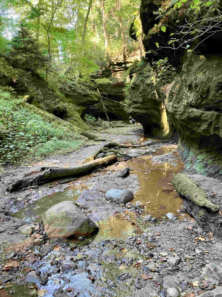 Hiking Trail 6 at Turkey Run State Park including a steep hil to one side and steep boulders to the other.