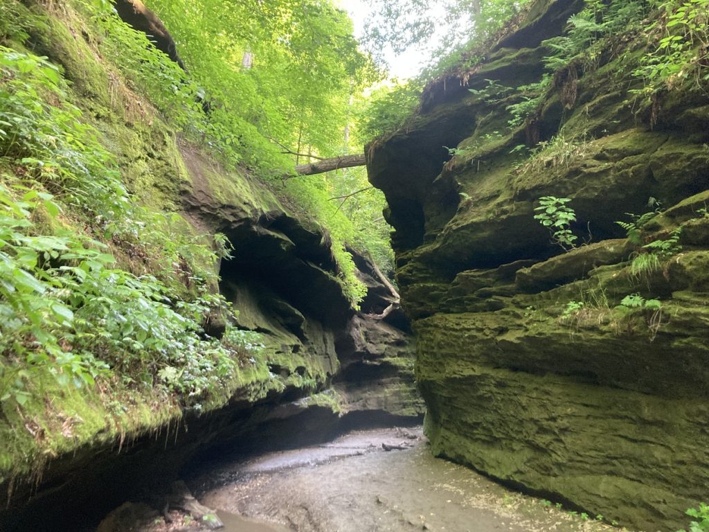 Trail 3 at Turkey Run State Park with steep rock formations surrounding.