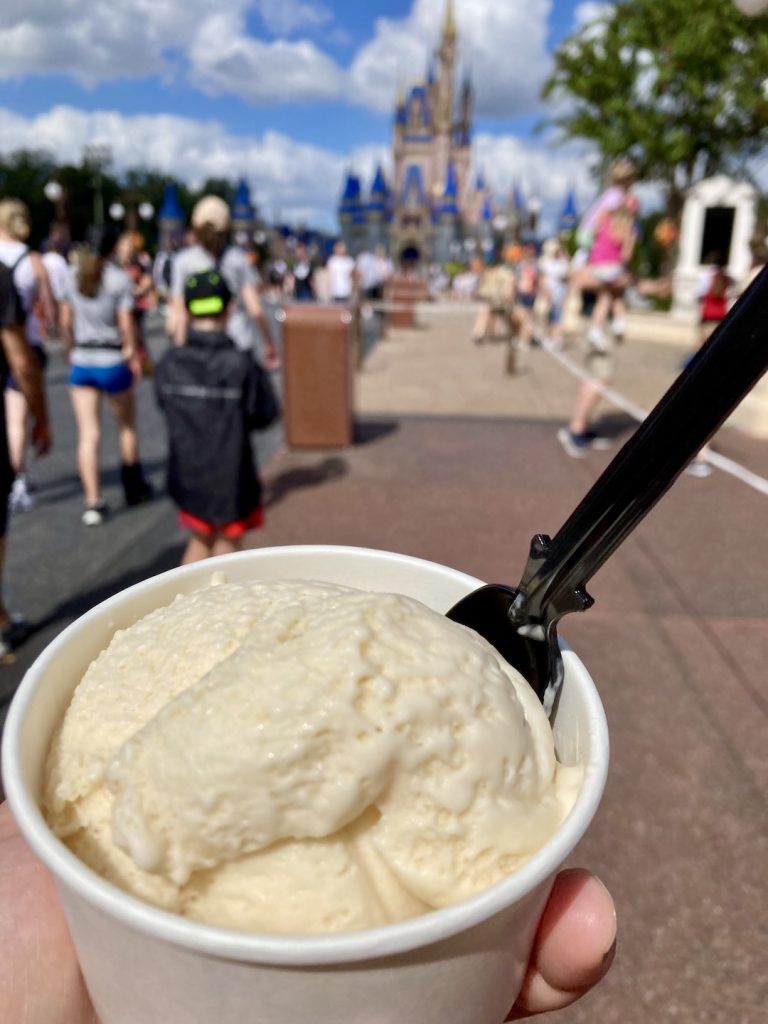 Vanilla dairy-free ice cream at Magic Kingdom in Disney World Florida